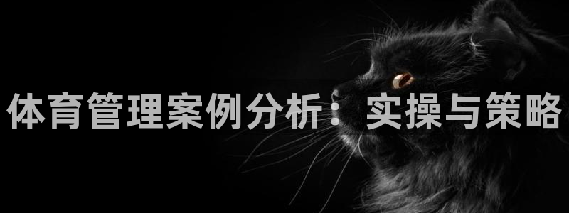 必一体育官网入口