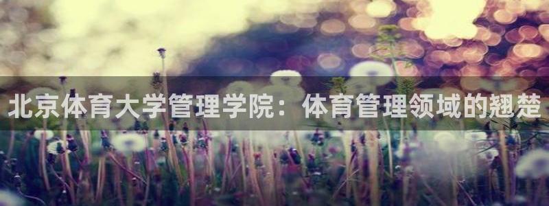 必一体育sport下