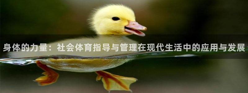 必一运动·体育：身体的力量：社会体育指导与管理在现代生活中的
