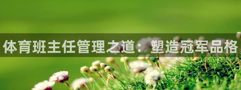 必一体育官网网址