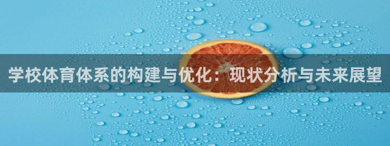 必一体育网页登陆：学