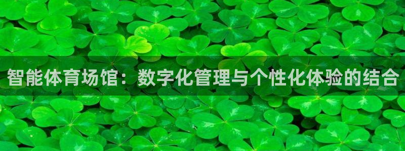 必一体育下载入口：智能体育场馆：数字化管理与个性化体验的结合