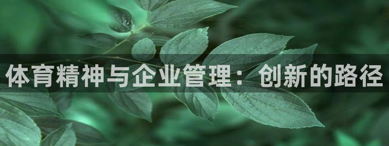 必一体育app下载装