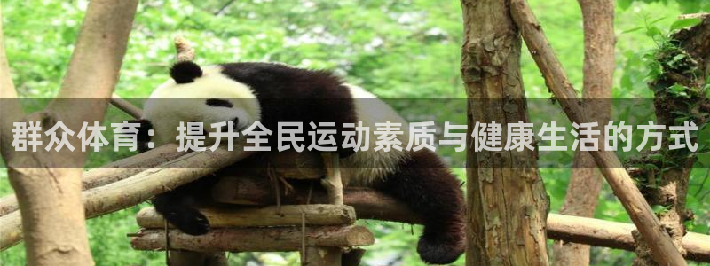 b体育必一下载：群众