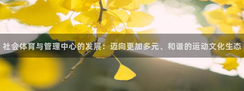 必一体育app平台下载：社会体育与管理中心的发展：迈向更加多